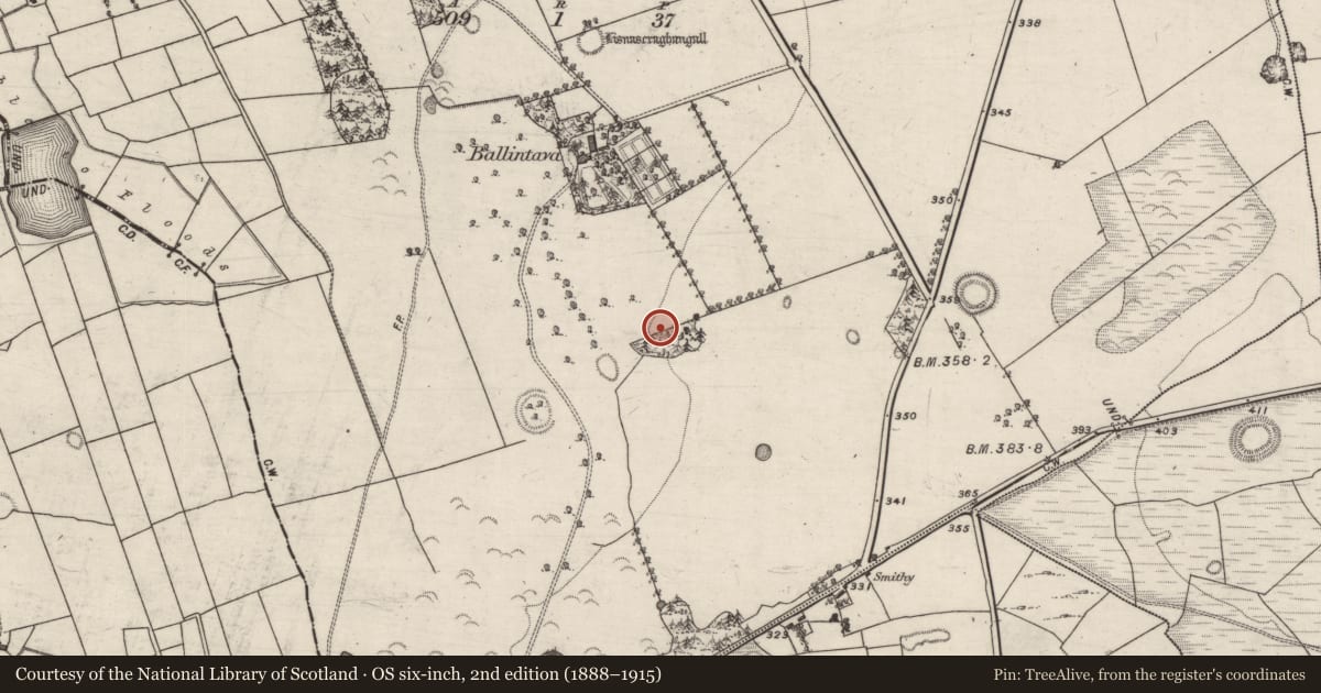 Ordnance Survey six-inch map, 2nd edition (1888–1915) covering the location of Children's burial ground, Ballintava, County Galway, with a pin at the register's coordinates