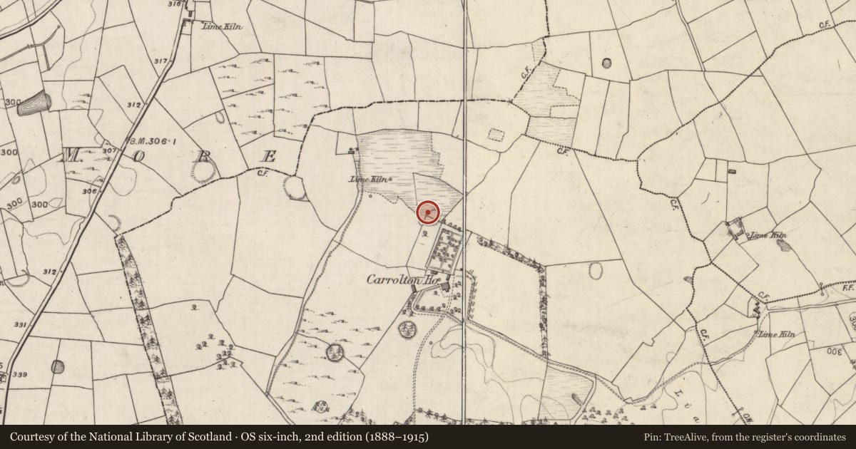 Ordnance Survey six-inch map, 2nd edition (1888–1915) covering the location of Ringfort - rath, Beagh, County Galway, with a pin at the register's coordinates