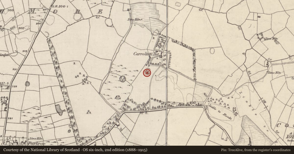 Ordnance Survey six-inch map, 2nd edition (1888–1915) covering the location of Ringfort - rath, Beagh, County Galway, with a pin at the register's coordinates
