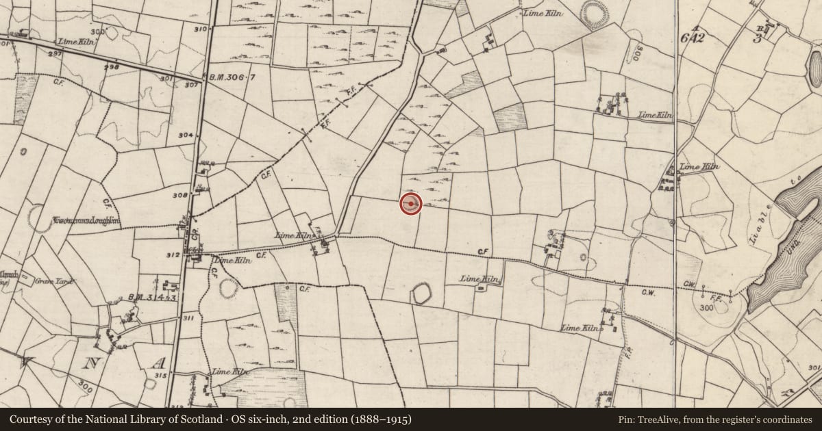 Ordnance Survey six-inch map, 2nd edition (1888–1915) covering the location of Ringfort - rath, Beagh, County Galway, with a pin at the register's coordinates