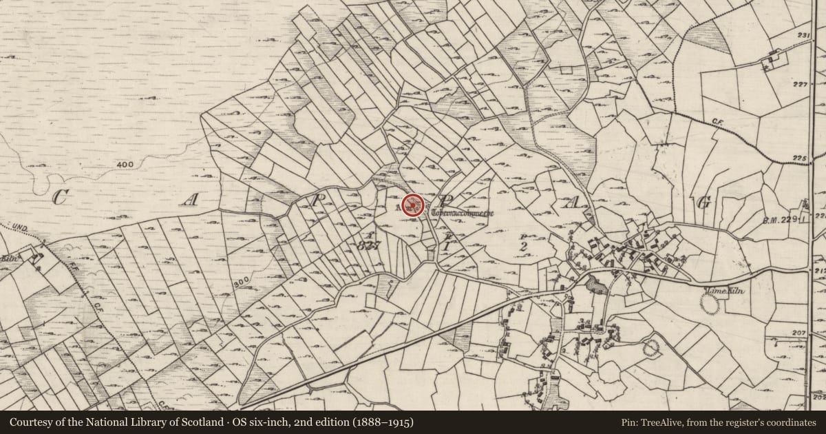 Ordnance Survey six-inch map, 2nd edition (1888–1915) covering the location of Cross-slab, Cappagh, County Galway, with a pin at the register's coordinates