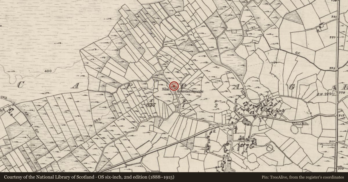 Ordnance Survey six-inch map, 2nd edition (1888–1915) covering the location of Church, Cappagh, County Galway, with a pin at the register's coordinates