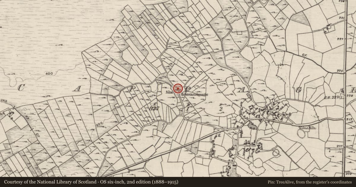 Ordnance Survey six-inch map, 2nd edition (1888–1915) covering the location of Ritual site - holy well, Cappagh, County Galway, with a pin at the register's coordinates