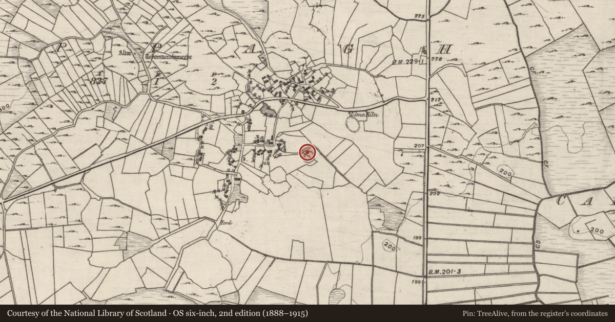 Ordnance Survey six-inch map, 2nd edition (1888–1915) covering the location of Ringfort - rath, Cappagh, County Galway, with a pin at the register's coordinates