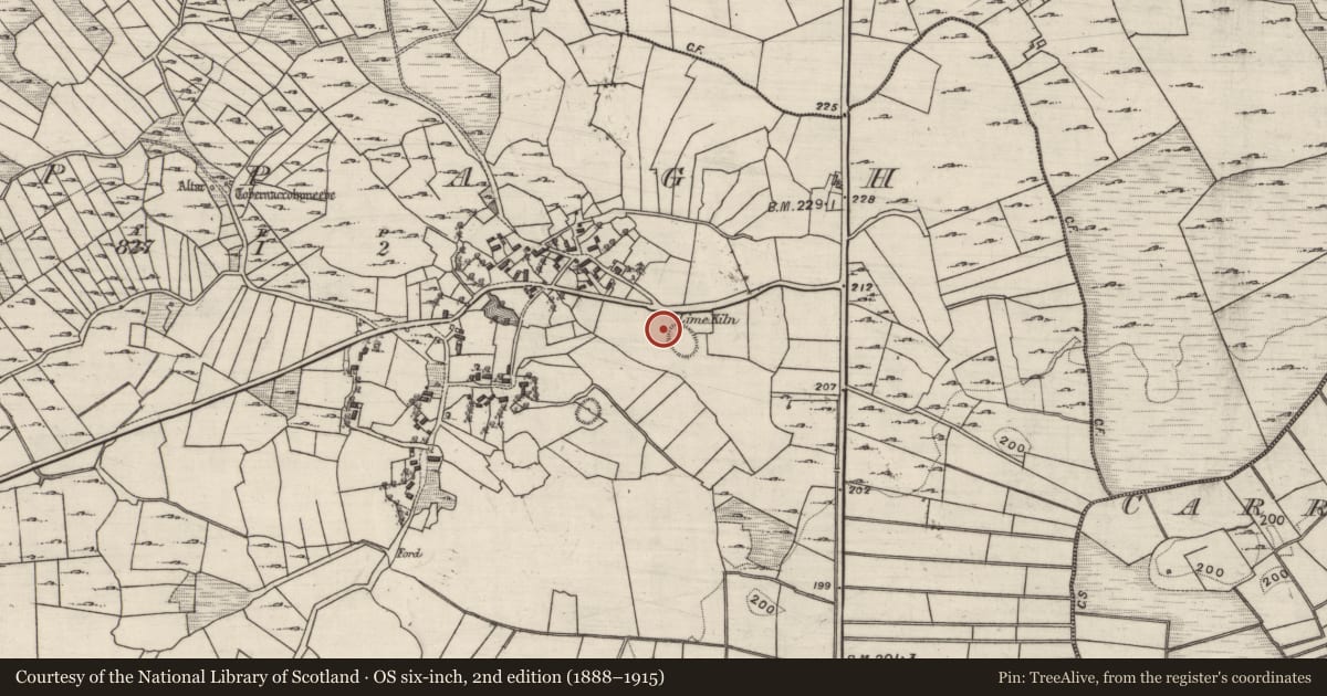 Ordnance Survey six-inch map, 2nd edition (1888–1915) covering the location of Ringfort - rath, Cappagh, County Galway, with a pin at the register's coordinates