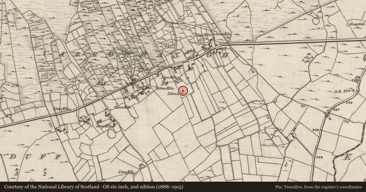 Ordnance Survey six-inch map, 2nd edition (1888–1915) covering the location of Earthwork, Carrowmanagh, County Galway, with a pin at the register's coordinates