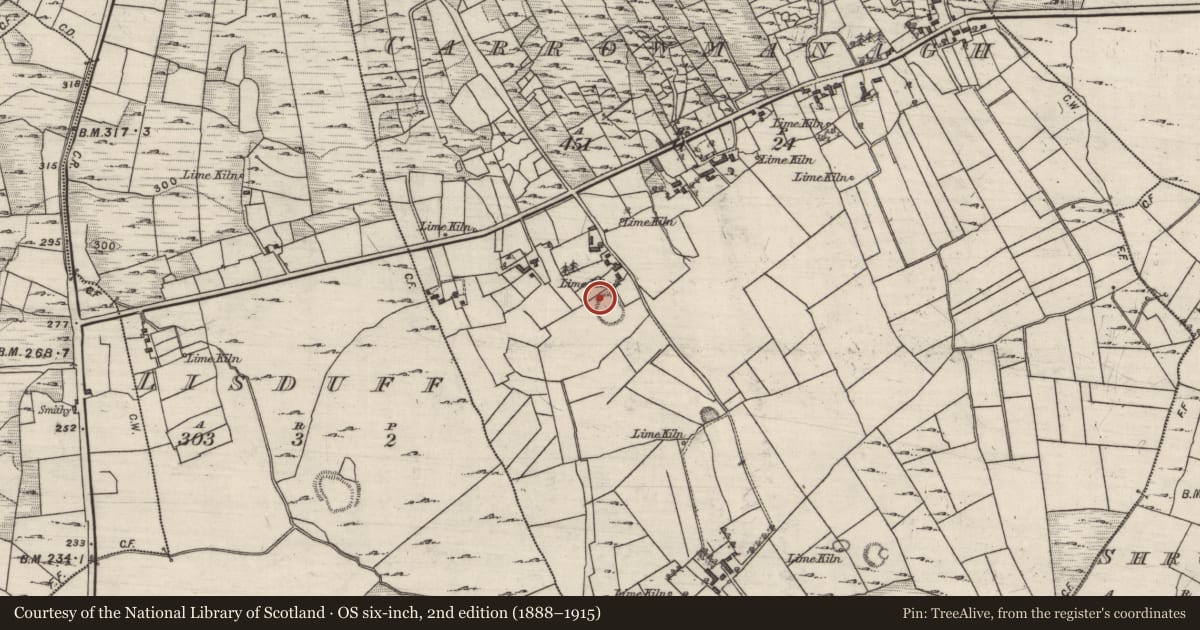 Ordnance Survey six-inch map, 2nd edition (1888–1915) covering the location of Ringfort - rath, Carrowmanagh, County Galway, with a pin at the register's coordinates