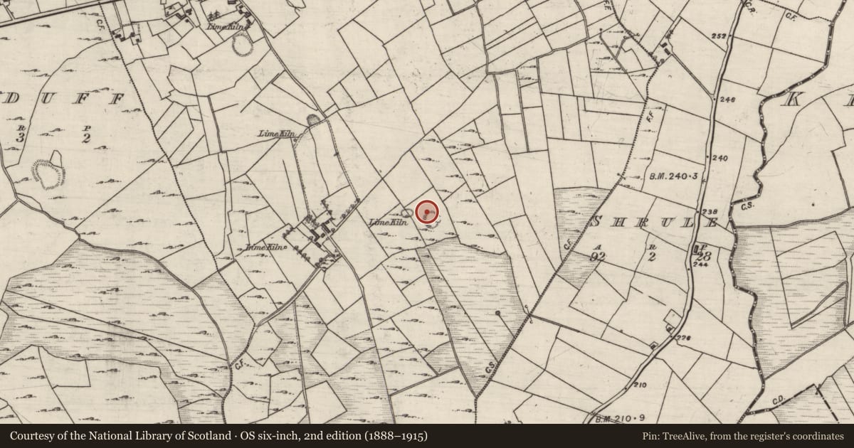 Ordnance Survey six-inch map, 2nd edition (1888–1915) covering the location of Ringfort - rath, Carrowmanagh, County Galway, with a pin at the register's coordinates