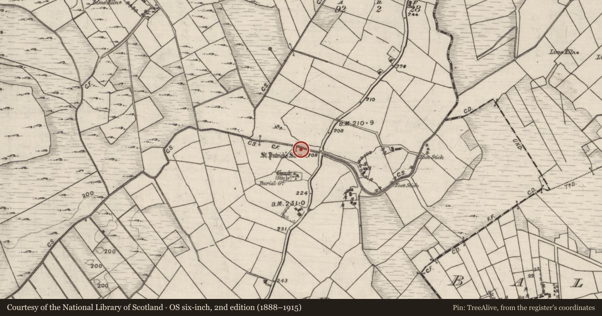 Ordnance Survey six-inch map, 2nd edition (1888–1915) covering the location of Bullaun stone, Carrownaseer North, County Galway, with a pin at the register's coordinates