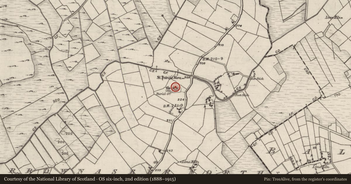 Ordnance Survey six-inch map, 2nd edition (1888–1915) covering the location of Cross-slab, Carrownaseer North, County Galway, with a pin at the register's coordinates
