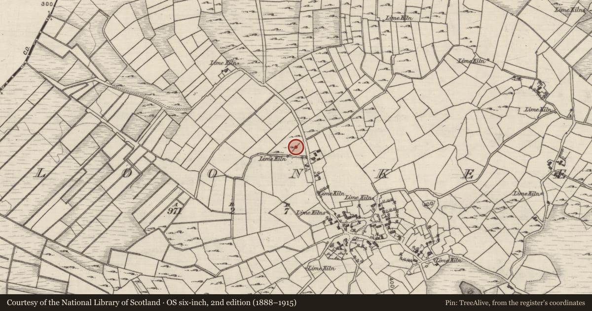 Ordnance Survey six-inch map, 2nd edition (1888–1915) covering the location of Ringfort - rath, Cloonkeen, County Galway, with a pin at the register's coordinates