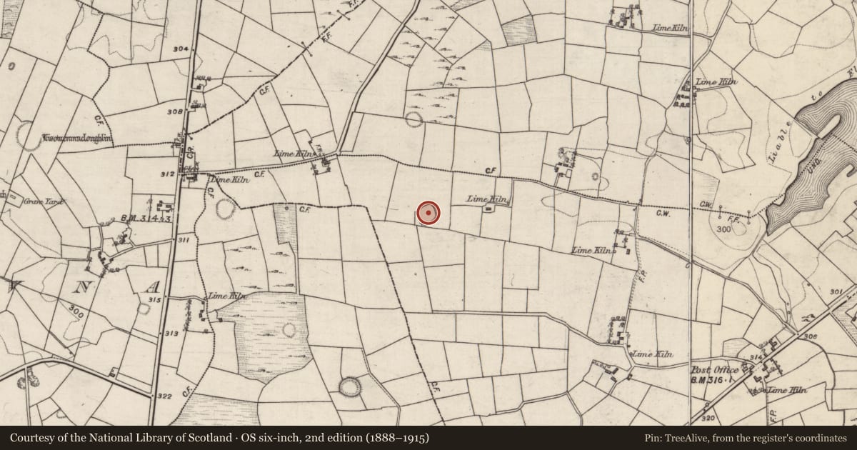 Ordnance Survey six-inch map, 2nd edition (1888–1915) covering the location of Ringfort - rath, Curragh West, County Galway, with a pin at the register's coordinates