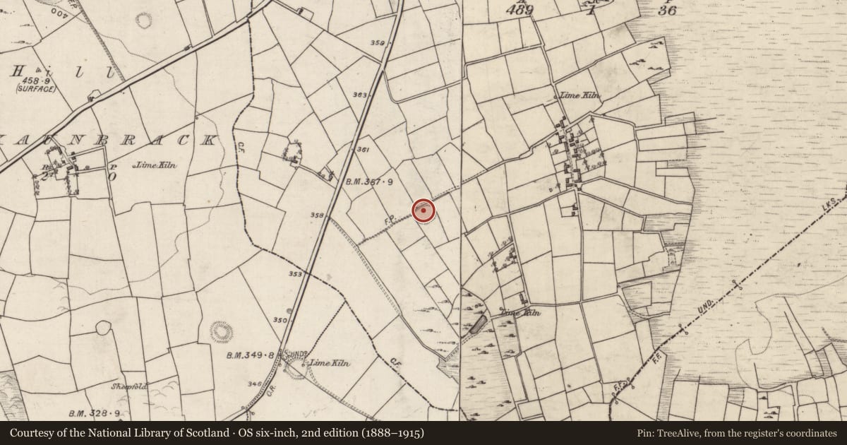 Ordnance Survey six-inch map, 2nd edition (1888–1915) covering the location of Ringfort - rath, Curragh West, County Galway, with a pin at the register's coordinates