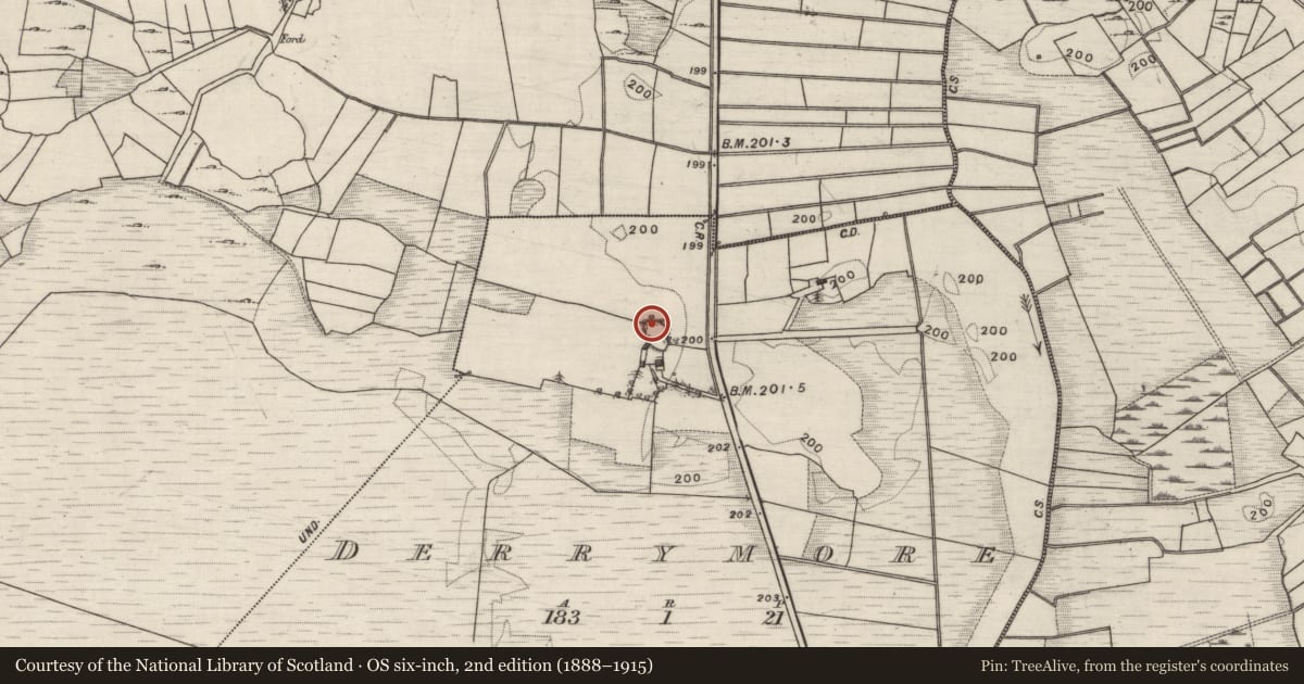 Ordnance Survey six-inch map, 2nd edition (1888–1915) covering the location of Ringfort - rath, Derrymore, County Galway, with a pin at the register's coordinates