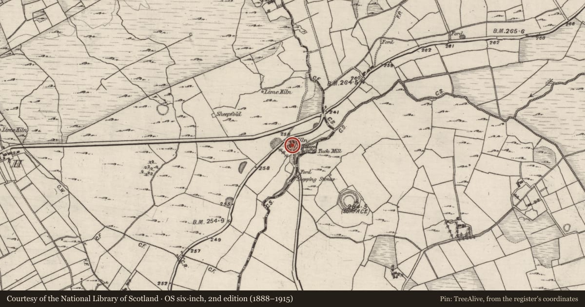 Ordnance Survey six-inch map, 2nd edition (1888–1915) covering the location of Mill - unclassified, Drumbane, County Galway, with a pin at the register's coordinates