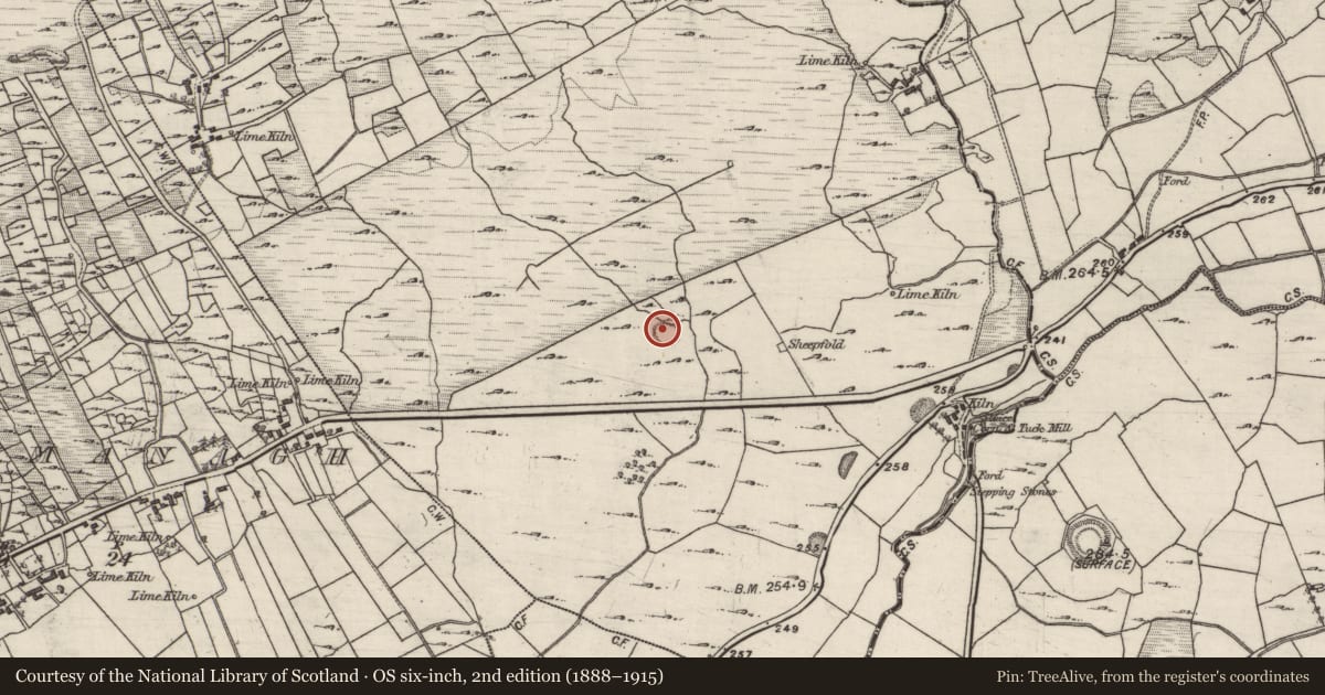 Ordnance Survey six-inch map, 2nd edition (1888–1915) covering the location of Ringfort - rath, Drumbane, County Galway, with a pin at the register's coordinates