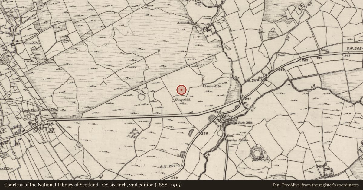 Ordnance Survey six-inch map, 2nd edition (1888–1915) covering the location of Ringfort - cashel, Drumbane, County Galway, with a pin at the register's coordinates