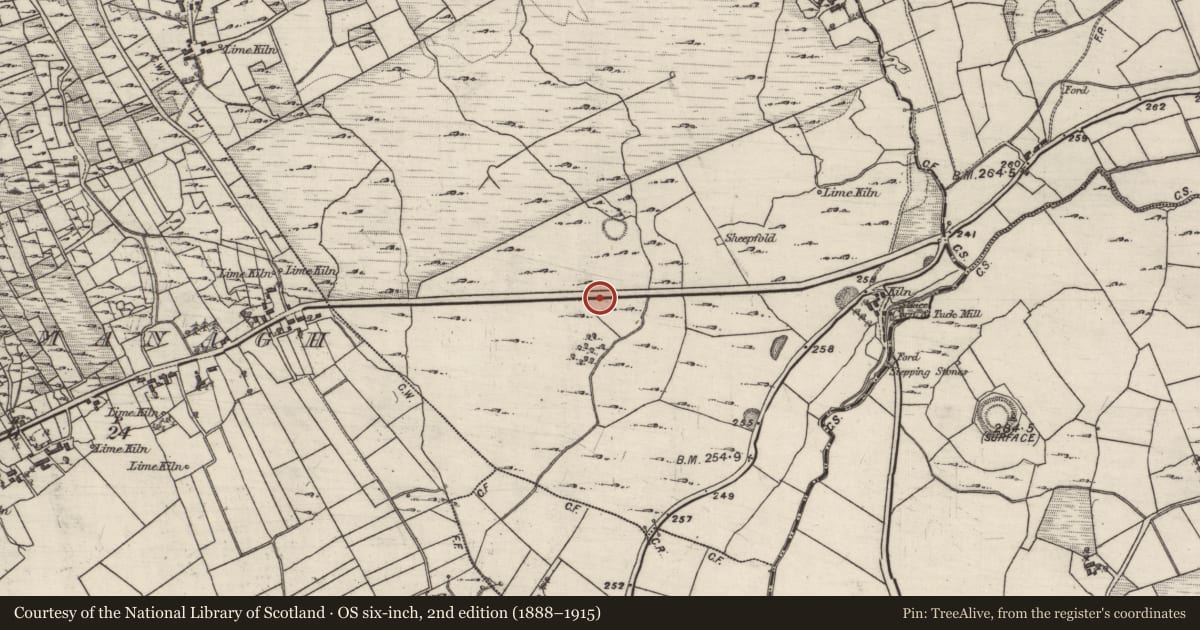 Ordnance Survey six-inch map, 2nd edition (1888–1915) covering the location of Ringfort - unclassified, Drumbane, County Galway, with a pin at the register's coordinates