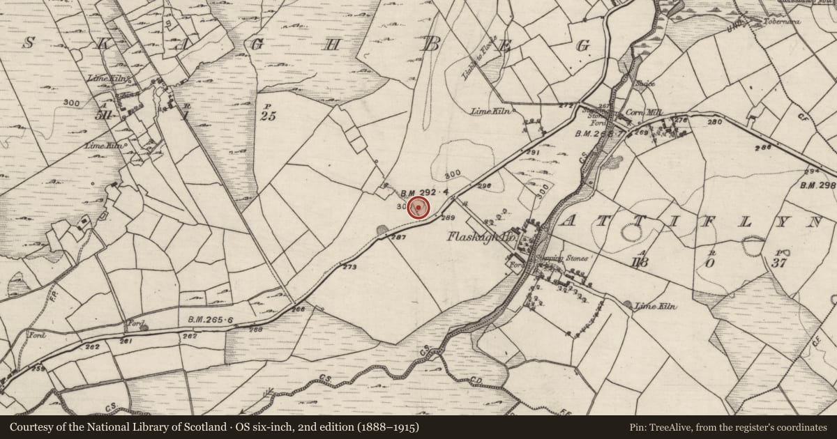 Ordnance Survey six-inch map, 2nd edition (1888–1915) covering the location of Ringfort - rath, Flaskagh Beg, County Galway, with a pin at the register's coordinates