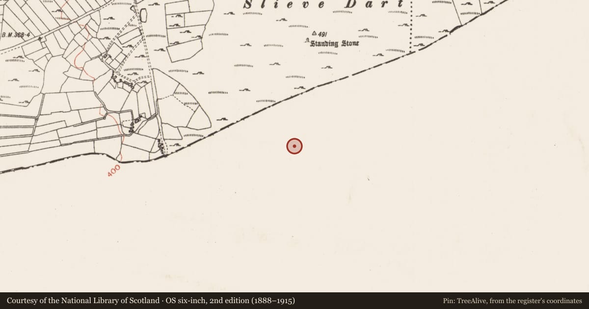 Ordnance Survey six-inch map, 2nd edition (1888–1915) covering the location of Megalithic tomb - court tomb, Flaskagh Beg, County Galway, with a pin at the register's coordinates