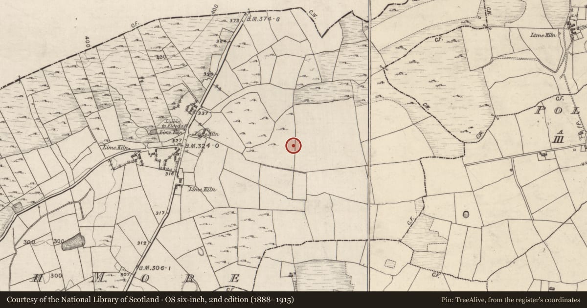 Ordnance Survey six-inch map, 2nd edition (1888–1915) covering the location of Souterrain, Flaskagh More, County Galway, with a pin at the register's coordinates