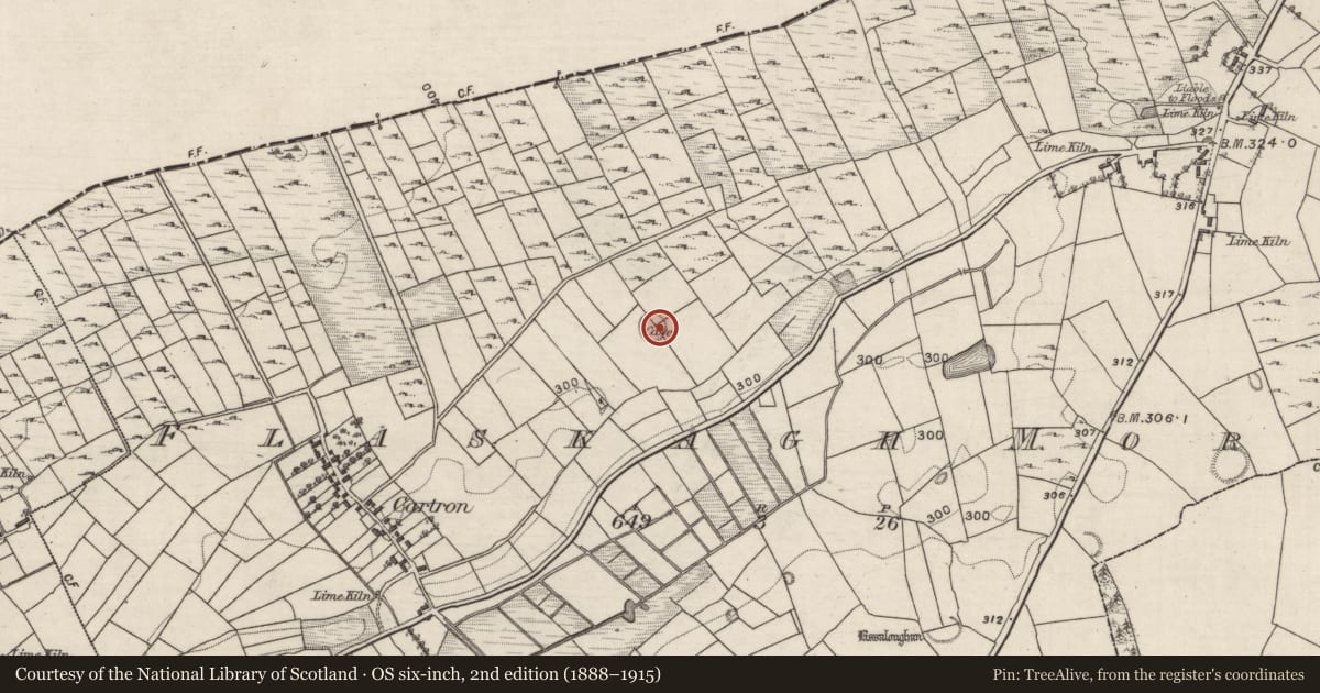 Ordnance Survey six-inch map, 2nd edition (1888–1915) covering the location of Ringfort - rath, Flaskagh More, County Galway, with a pin at the register's coordinates