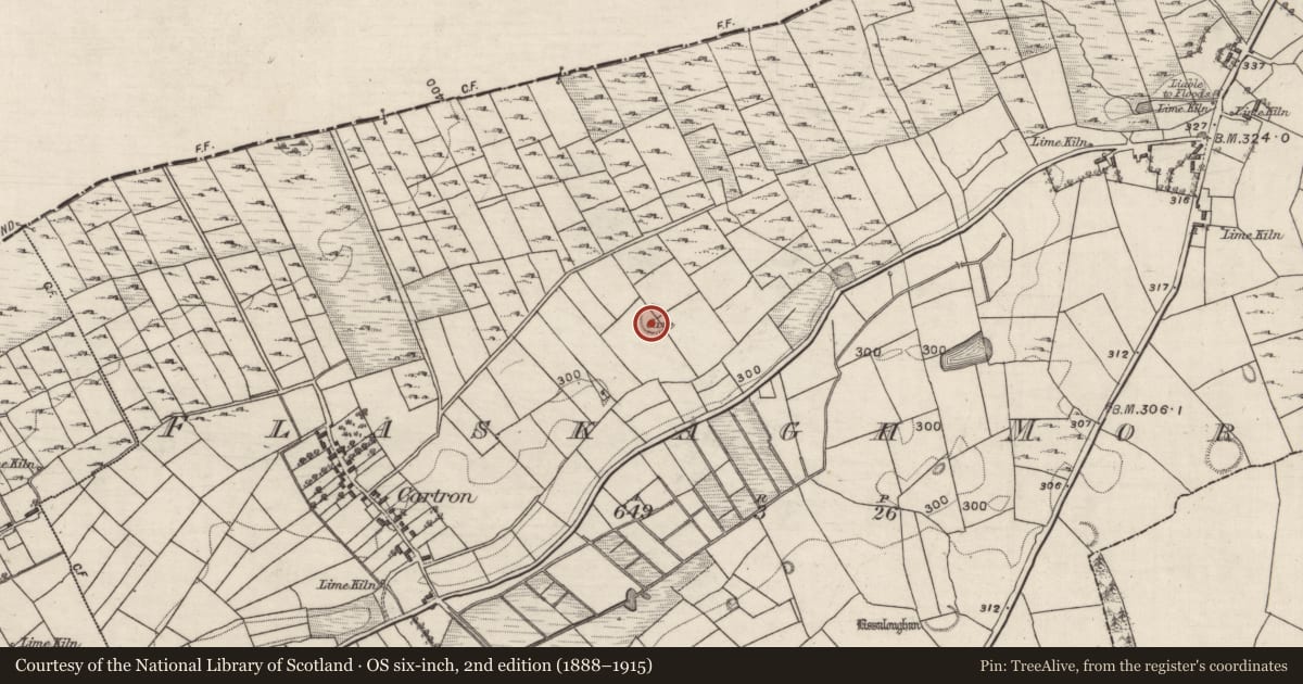 Ordnance Survey six-inch map, 2nd edition (1888–1915) covering the location of Souterrain, Flaskagh More, County Galway, with a pin at the register's coordinates