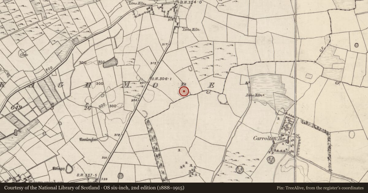 Ordnance Survey six-inch map, 2nd edition (1888–1915) covering the location of Ringfort - rath, Flaskagh More, County Galway, with a pin at the register's coordinates