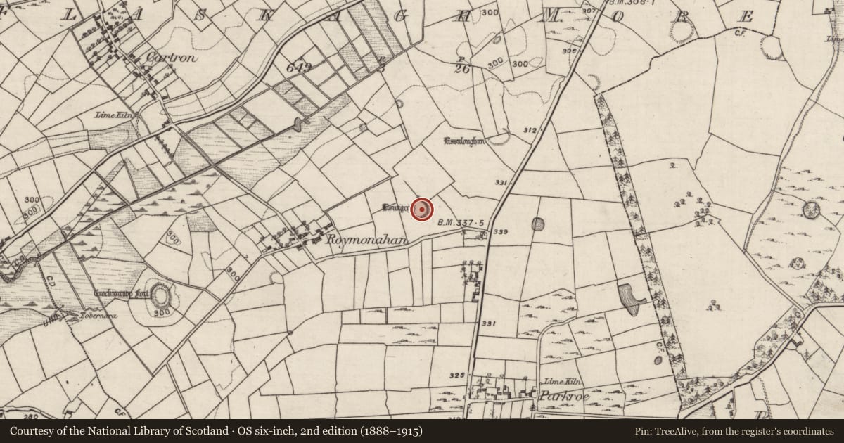 Ordnance Survey six-inch map, 2nd edition (1888–1915) covering the location of Ringfort - rath, Flaskagh More, County Galway, with a pin at the register's coordinates