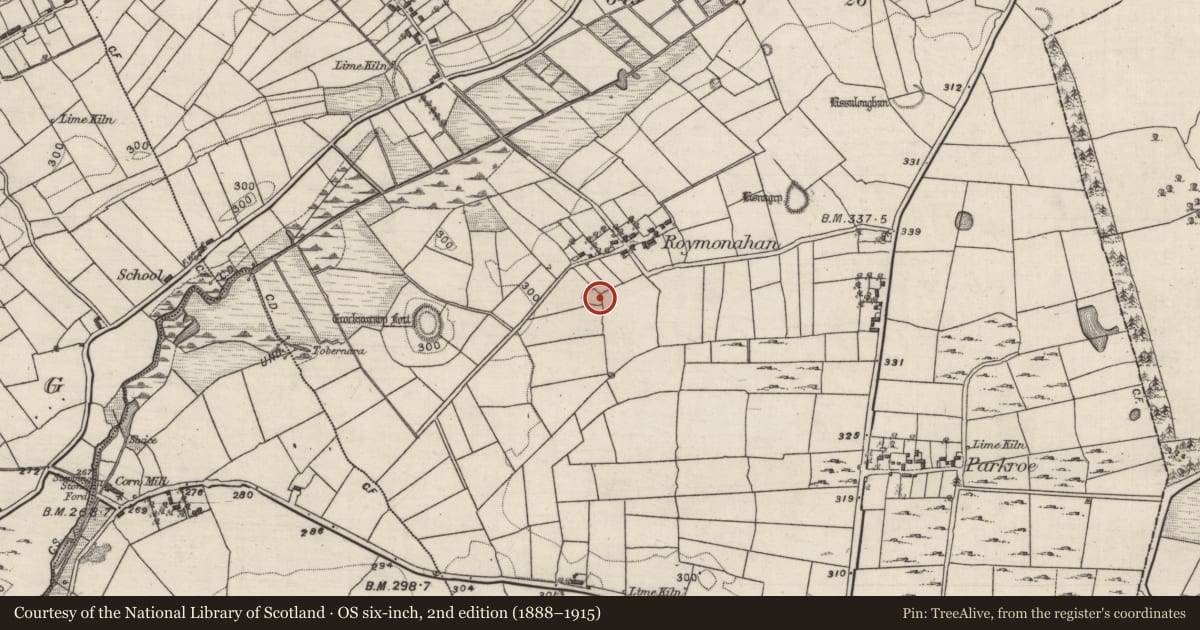 Ordnance Survey six-inch map, 2nd edition (1888–1915) covering the location of Ringfort - rath, Flaskagh More, County Galway, with a pin at the register's coordinates