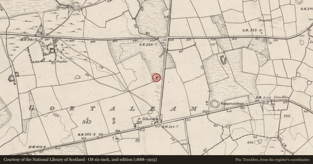 Ordnance Survey six-inch map, 2nd edition (1888–1915) covering the location of Ringfort - rath, Gortaleam, County Galway, with a pin at the register's coordinates
