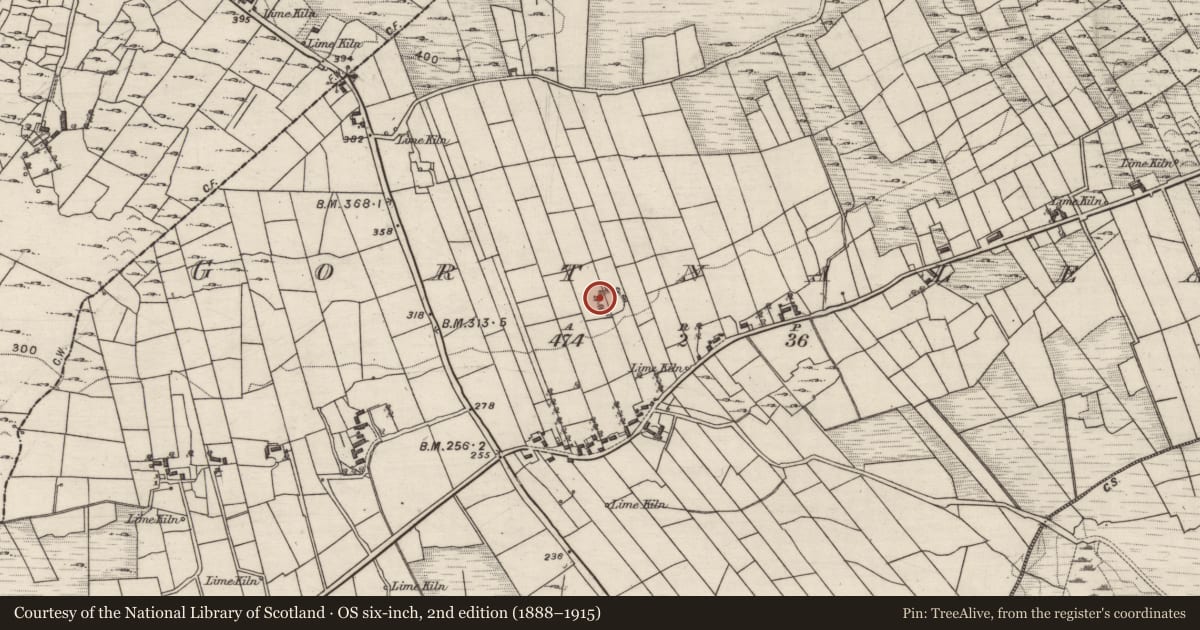 Ordnance Survey six-inch map, 2nd edition (1888–1915) covering the location of Children's burial ground, Gortnalea, County Galway, with a pin at the register's coordinates