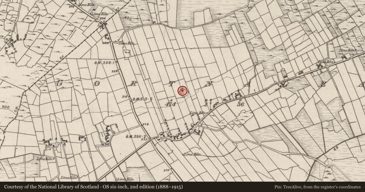 Ordnance Survey six-inch map, 2nd edition (1888–1915) covering the location of Souterrain, Gortnalea, County Galway, with a pin at the register's coordinates