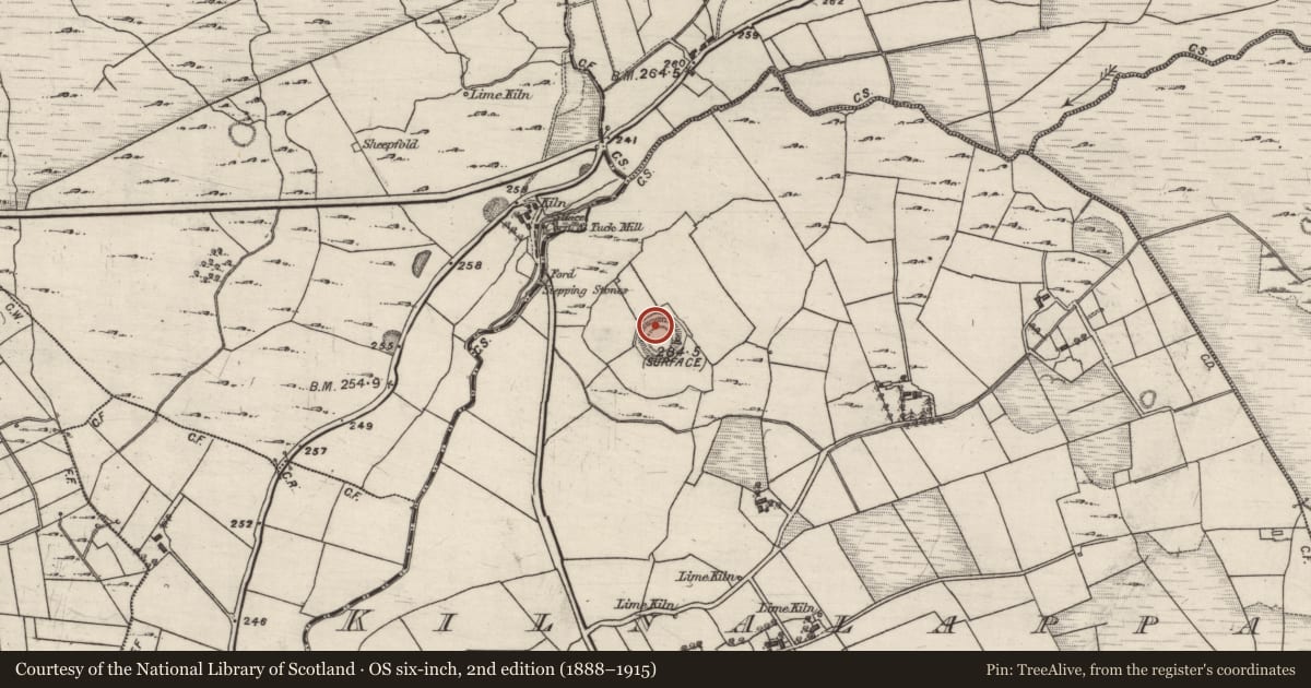 Ordnance Survey six-inch map, 2nd edition (1888–1915) covering the location of Ringfort - rath, Kilnalappa, County Galway, with a pin at the register's coordinates