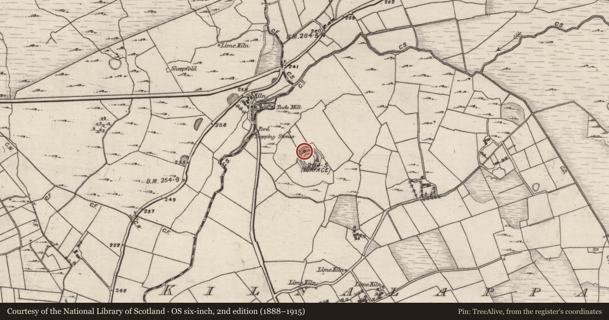 Ordnance Survey six-inch map, 2nd edition (1888–1915) covering the location of Souterrain, Kilnalappa, County Galway, with a pin at the register's coordinates