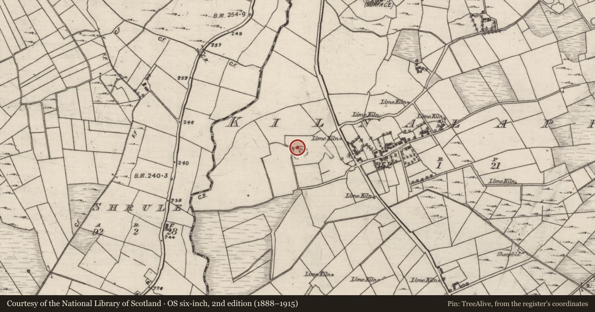 Ordnance Survey six-inch map, 2nd edition (1888–1915) covering the location of Ringfort - rath, Kilnalappa, County Galway, with a pin at the register's coordinates