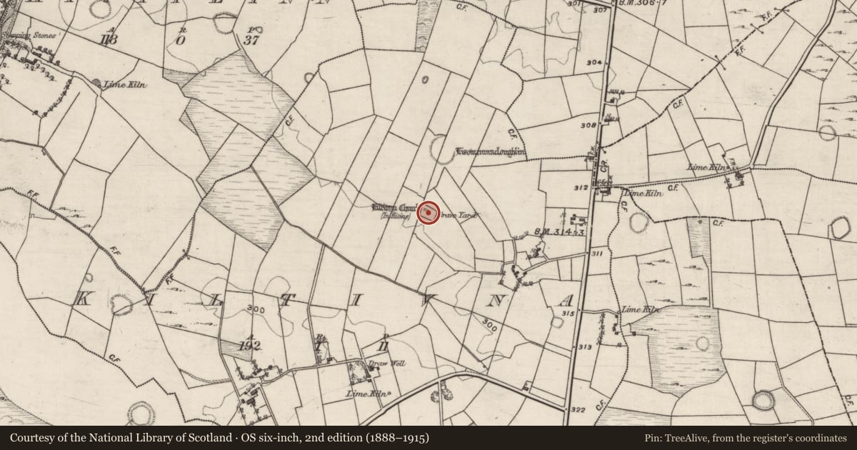 Ordnance Survey six-inch map, 2nd edition (1888–1915) covering the location of Church, Kiltivna, County Galway, with a pin at the register's coordinates