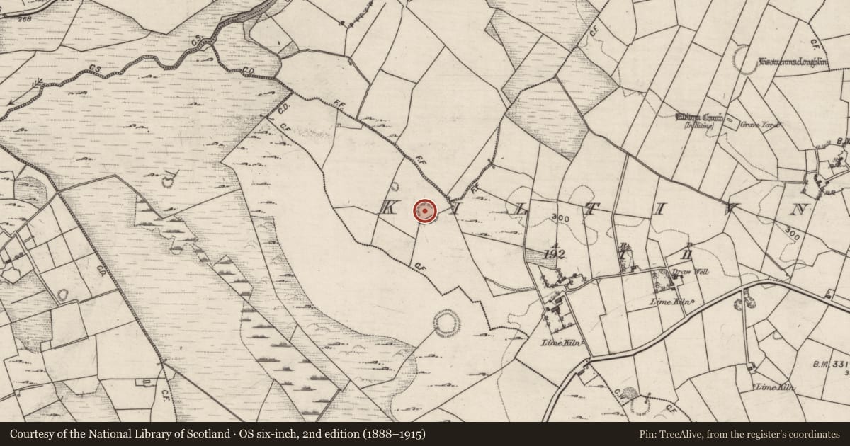 Ordnance Survey six-inch map, 2nd edition (1888–1915) covering the location of Ringfort - rath, Kiltivna, County Galway, with a pin at the register's coordinates