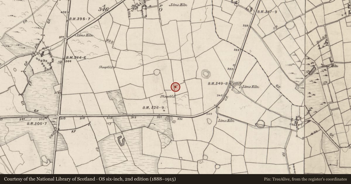 Ordnance Survey six-inch map, 2nd edition (1888–1915) covering the location of Ringfort - cashel, Knockaunbrack, County Galway, with a pin at the register's coordinates