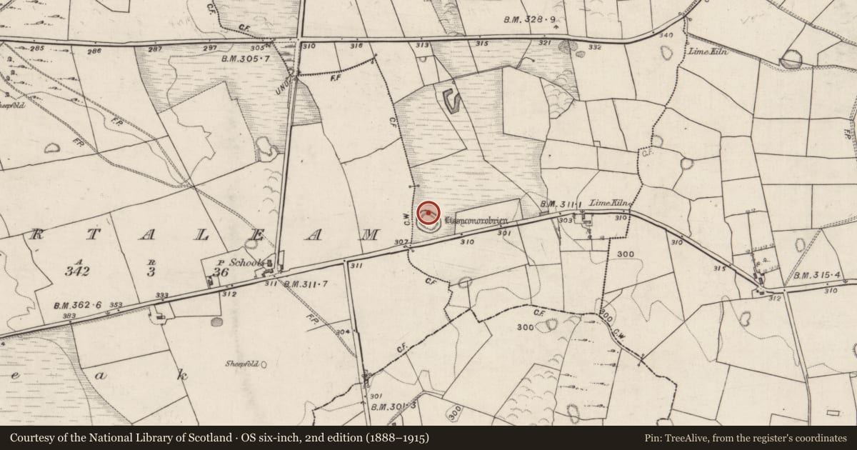 Ordnance Survey six-inch map, 2nd edition (1888–1915) covering the location of Ringfort - rath, Knockaunbrack, County Galway, with a pin at the register's coordinates