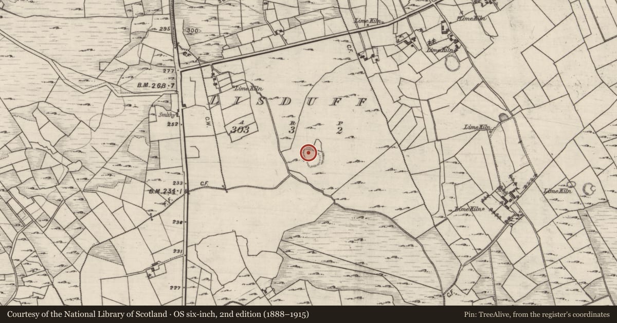 Ordnance Survey six-inch map, 2nd edition (1888–1915) covering the location of Hut site, Lisduff, County Galway, with a pin at the register's coordinates