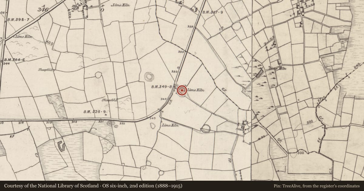 Ordnance Survey six-inch map, 2nd edition (1888–1915) covering the location of Ringfort - rath, Knockaunbrack, Lissyconor, County Galway, with a pin at the register's coordinates