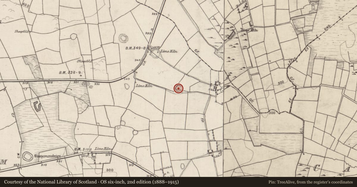 Ordnance Survey six-inch map, 2nd edition (1888–1915) covering the location of Ringfort - rath, Lissyconor, County Galway, with a pin at the register's coordinates