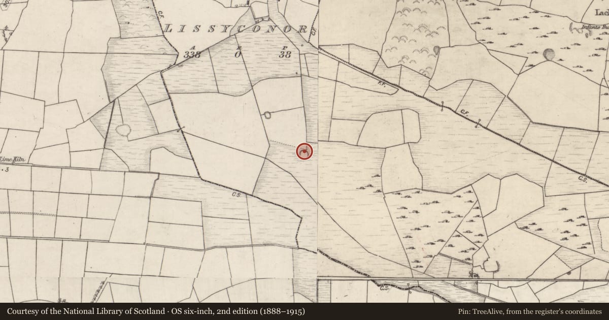 Ordnance Survey six-inch map, 2nd edition (1888–1915) covering the location of Ringfort - rath, Lissyconor, County Galway, with a pin at the register's coordinates