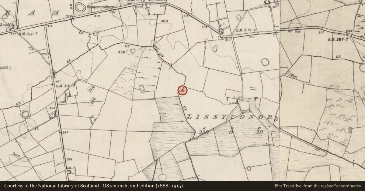 Ordnance Survey six-inch map, 2nd edition (1888–1915) covering the location of Ringfort - unclassified, Lissyconor, County Galway, with a pin at the register's coordinates