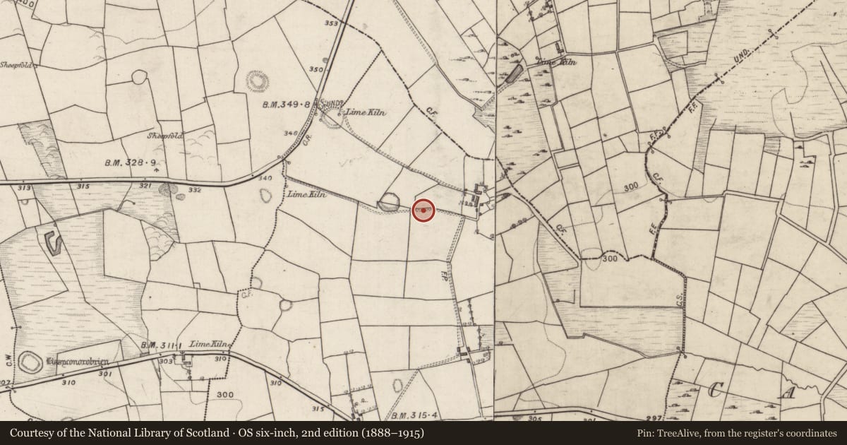 Ordnance Survey six-inch map, 2nd edition (1888–1915) covering the location of Megalithic structure, Lissyconor, County Galway, with a pin at the register's coordinates