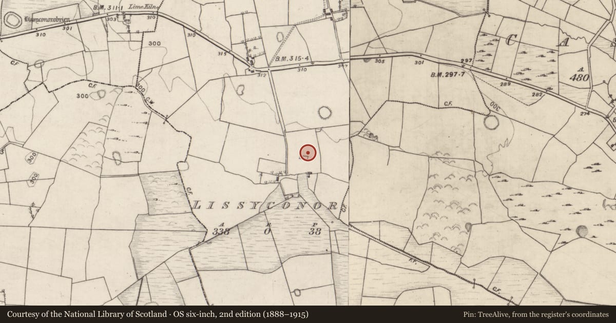 Ordnance Survey six-inch map, 2nd edition (1888–1915) covering the location of House - 17th century, Lissyconor, County Galway, with a pin at the register's coordinates