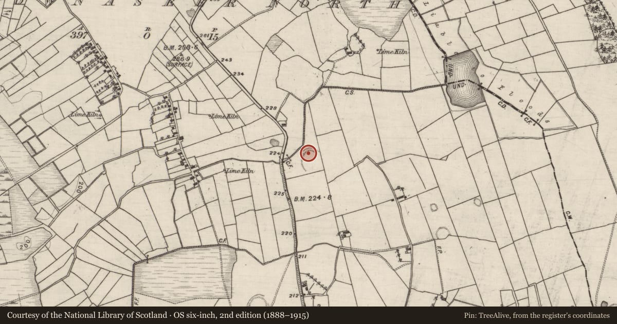 Ordnance Survey six-inch map, 2nd edition (1888–1915) covering the location of Ringfort - rath, Meenleana, County Galway, with a pin at the register's coordinates