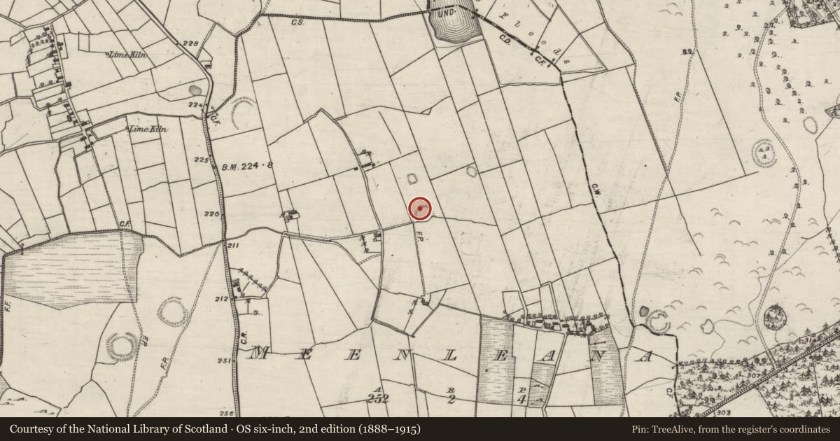 Ordnance Survey six-inch map, 2nd edition (1888–1915) covering the location of Ringfort - rath, Meenleana, County Galway, with a pin at the register's coordinates