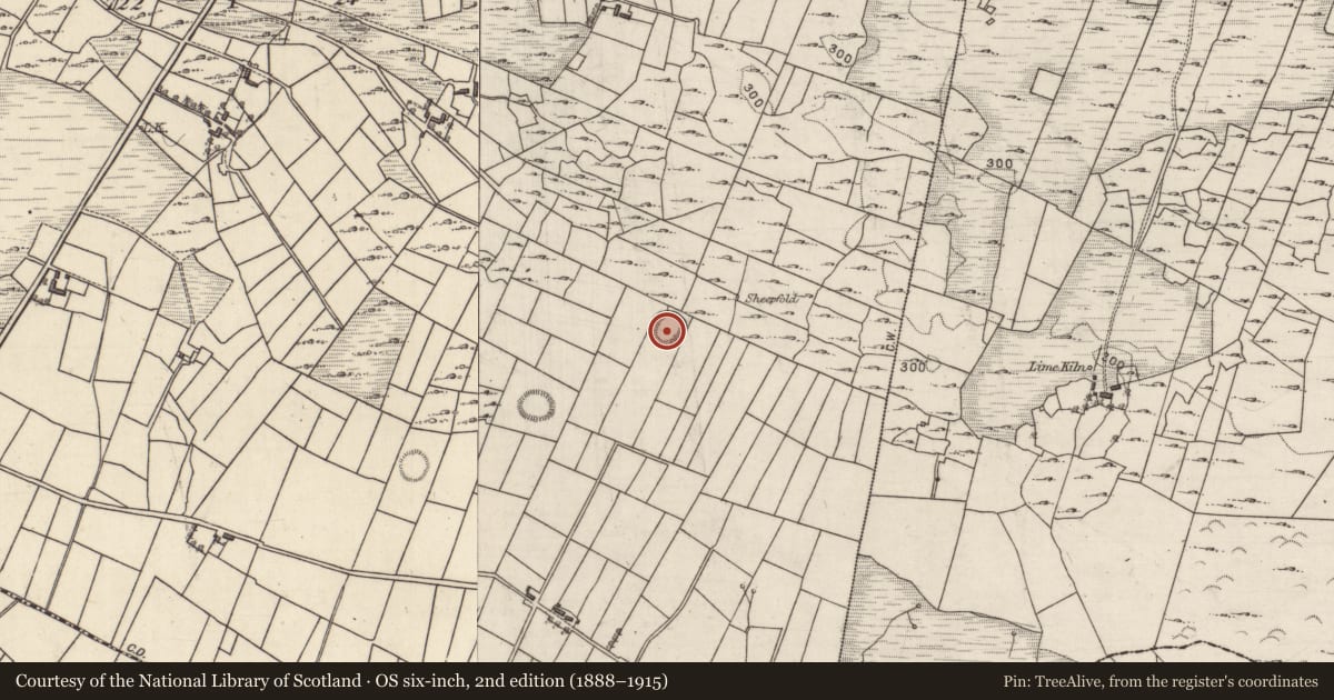 Ordnance Survey six-inch map, 2nd edition (1888–1915) covering the location of Ringfort - rath, Quinaltagh, County Galway, with a pin at the register's coordinates